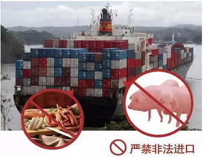 非洲豬瘟來襲，陸川豬肉還能安全食用嗎？科學解析與醫學研究進展