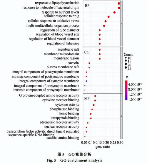 麻黃細辛附子湯治療變應性鼻炎的網絡藥理學研究及實驗驗證